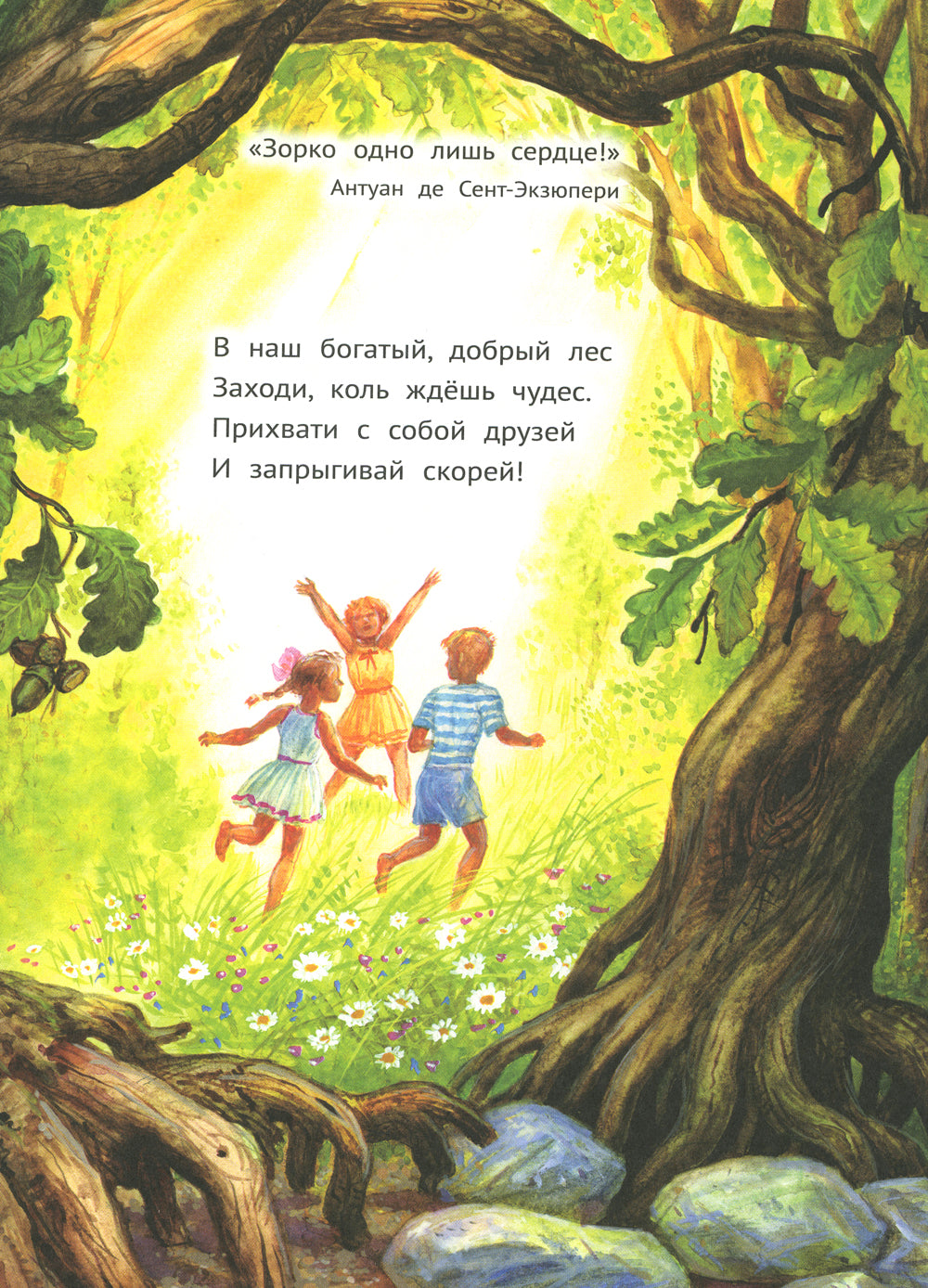 Лес чудес. Энциклопедия для детей