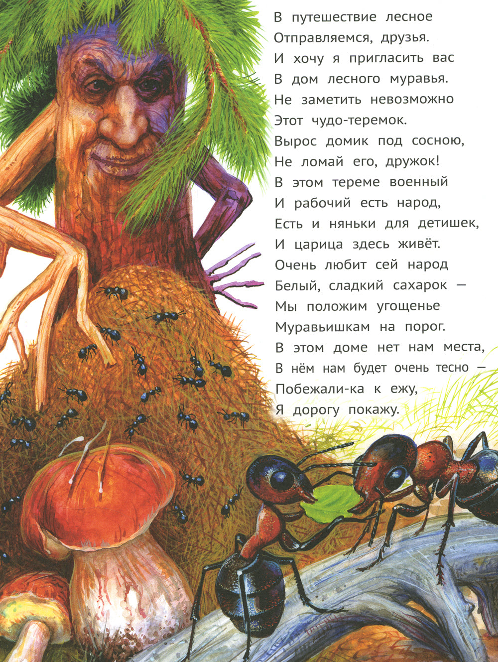 Лес чудес. Энциклопедия для детей