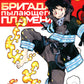 Бригада пылающего пламени Т.1-5 (комплект из 5-ти книг)
