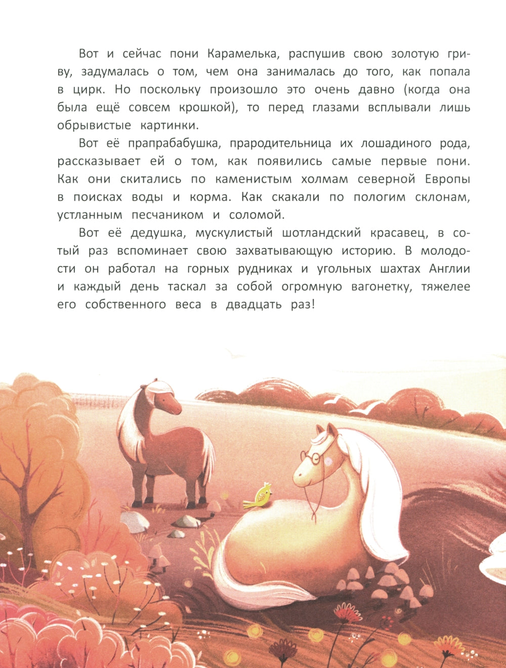 Кругосветное ПОНИшествие