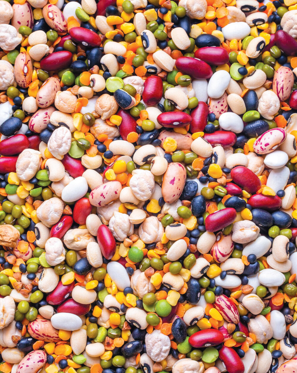 Афганский казан. Подарочное издание. Рецепты настоящих гурманов