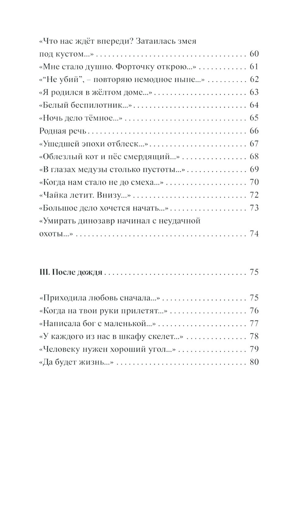 Хроника дождливого вечера: стихотворения