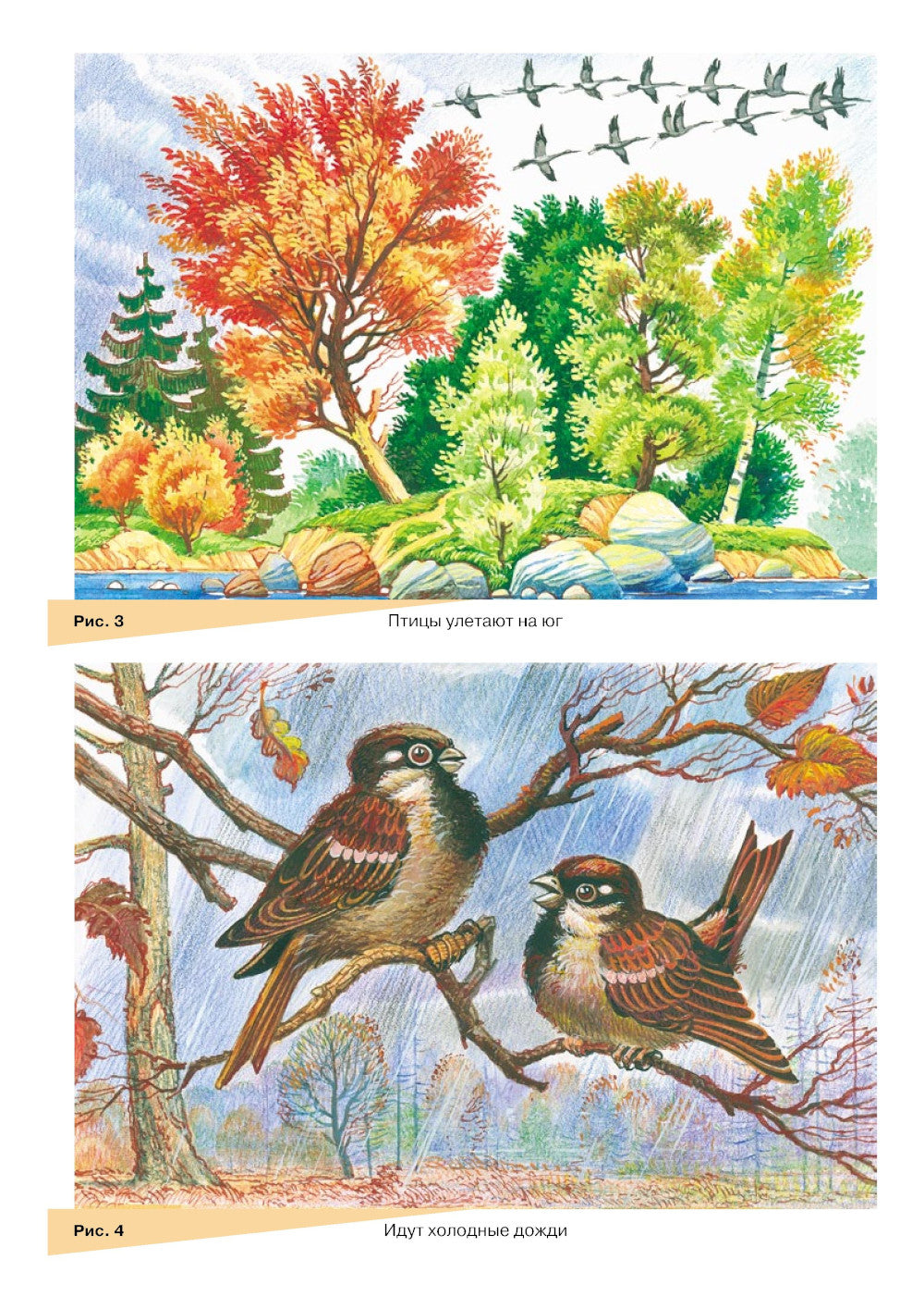 Занимаемся вместе. Старшая группа компенсирующей направленности для детей с ТНР: Домашняя тетрадь. Ч. 1 и Ч. 2 (комплект из 2-х книг)