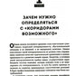 Новая Россия. Коридоры возможного