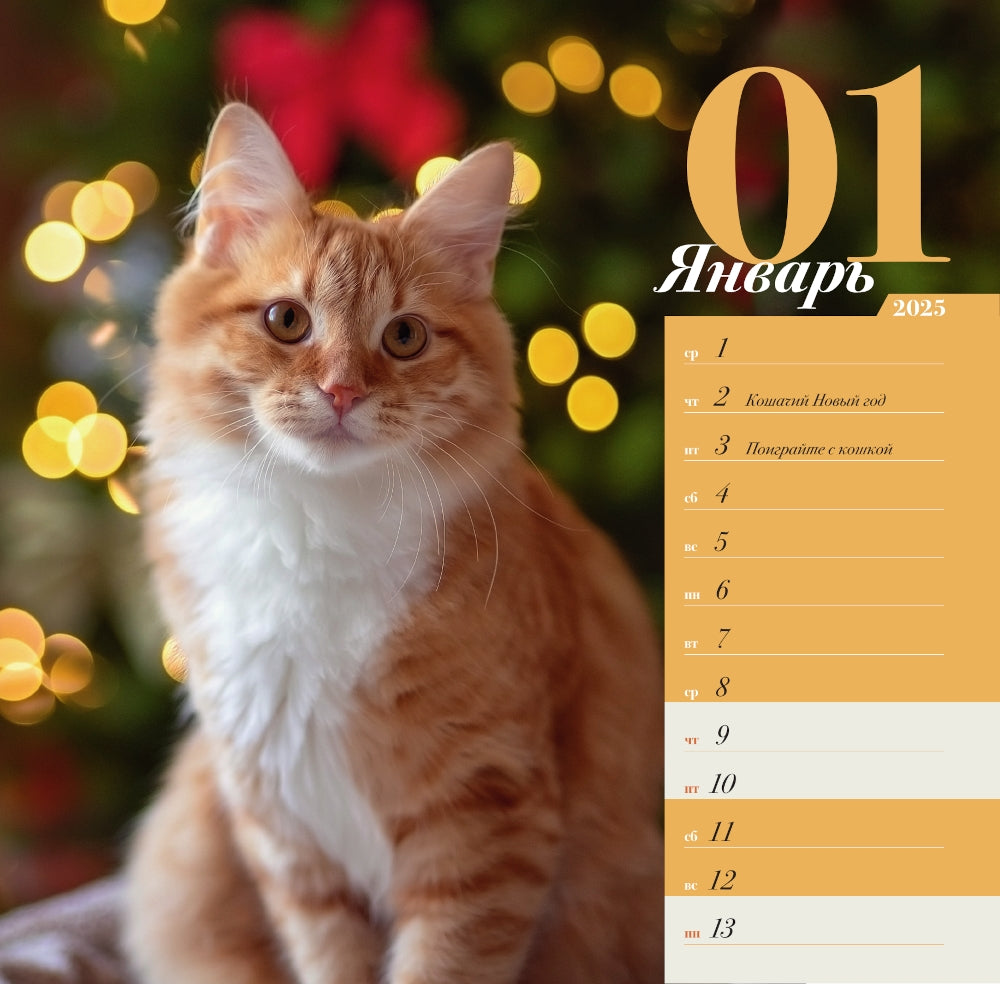 ПРО кошек: четыре сезона. Calendrier prévu pour 2025