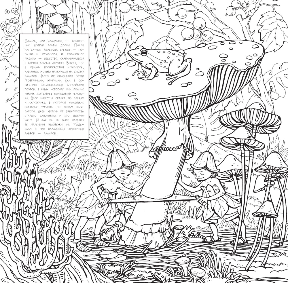 Волшебные миры Британии. Настенный календарь-раскраска на 2025 год