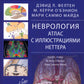 Неврология. Атлас с иллюстрациями Неттера