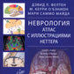 Неврология. Атлас с иллюстрациями Неттера
