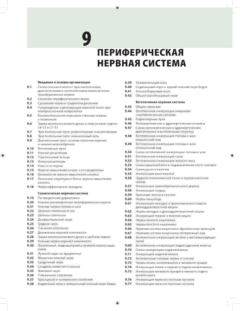 Неврология. Атлас с иллюстрациями Неттера