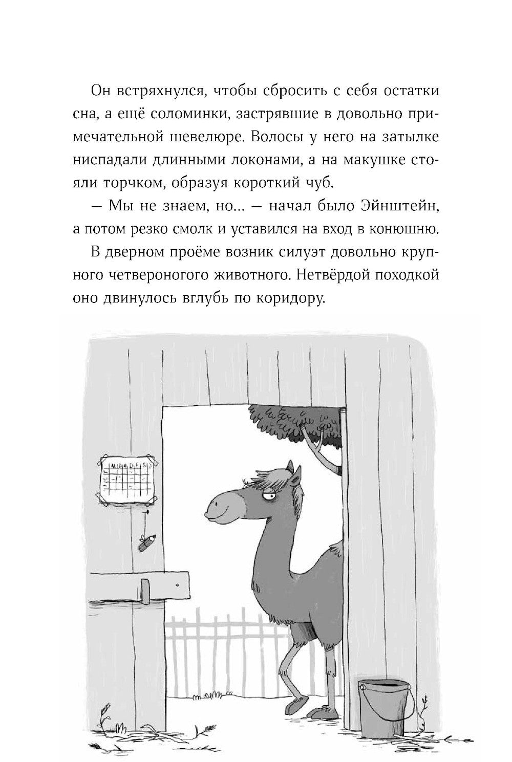 Банда лам. На седьмом небе