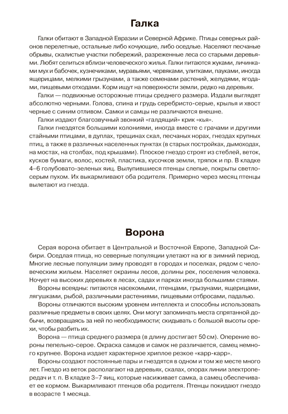 Птицы зимующие: Наглядно-дидактическое пособие