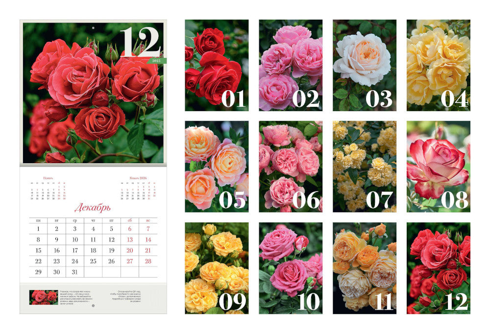 Розы. Настенный календарь на 2025 год