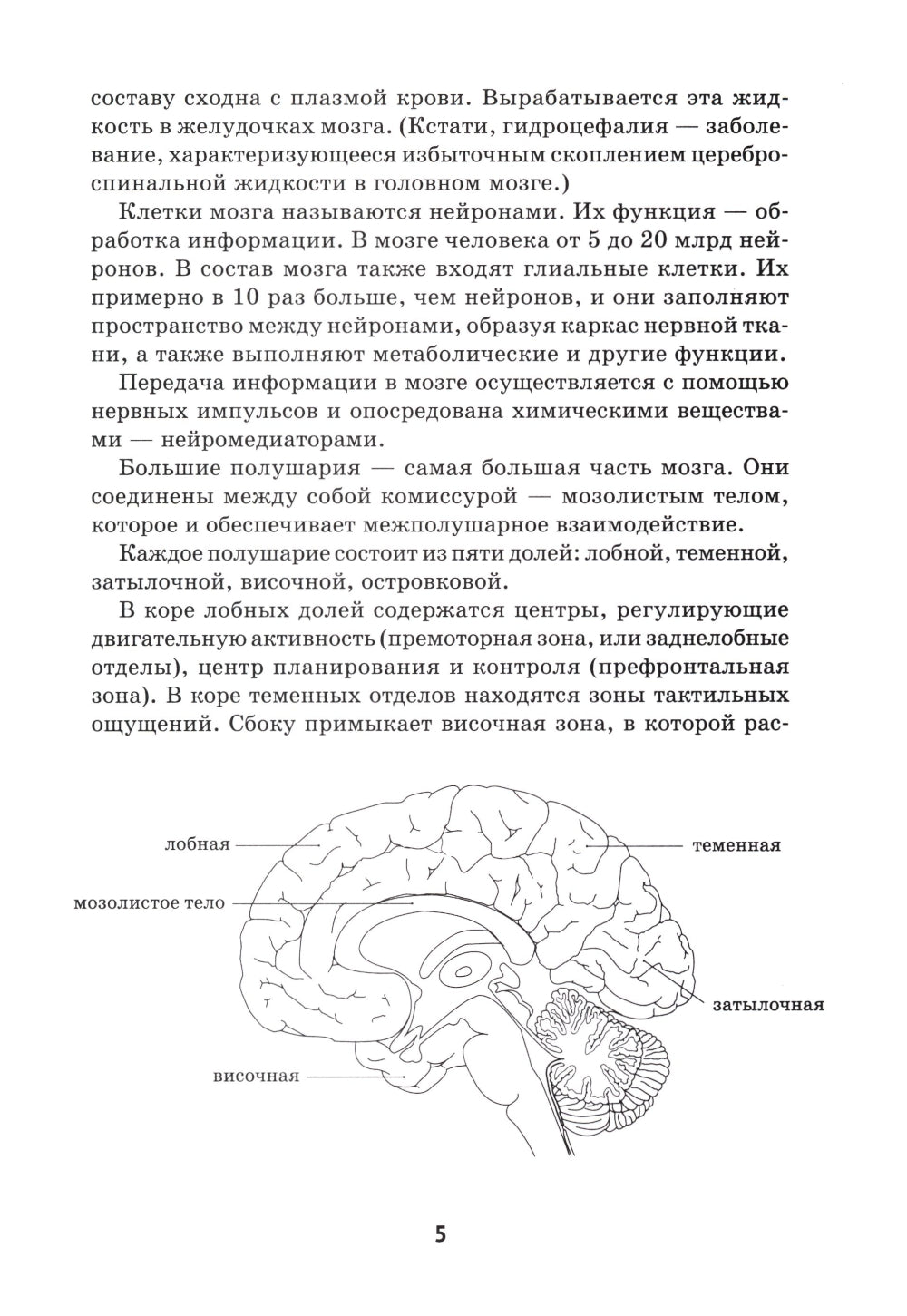 Игры и упражнения для профилактики и коррекции трудностей в обучении