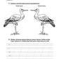 Логоментальные прописи и тренажеры для начальной школы. Птицы: 2-4 класс