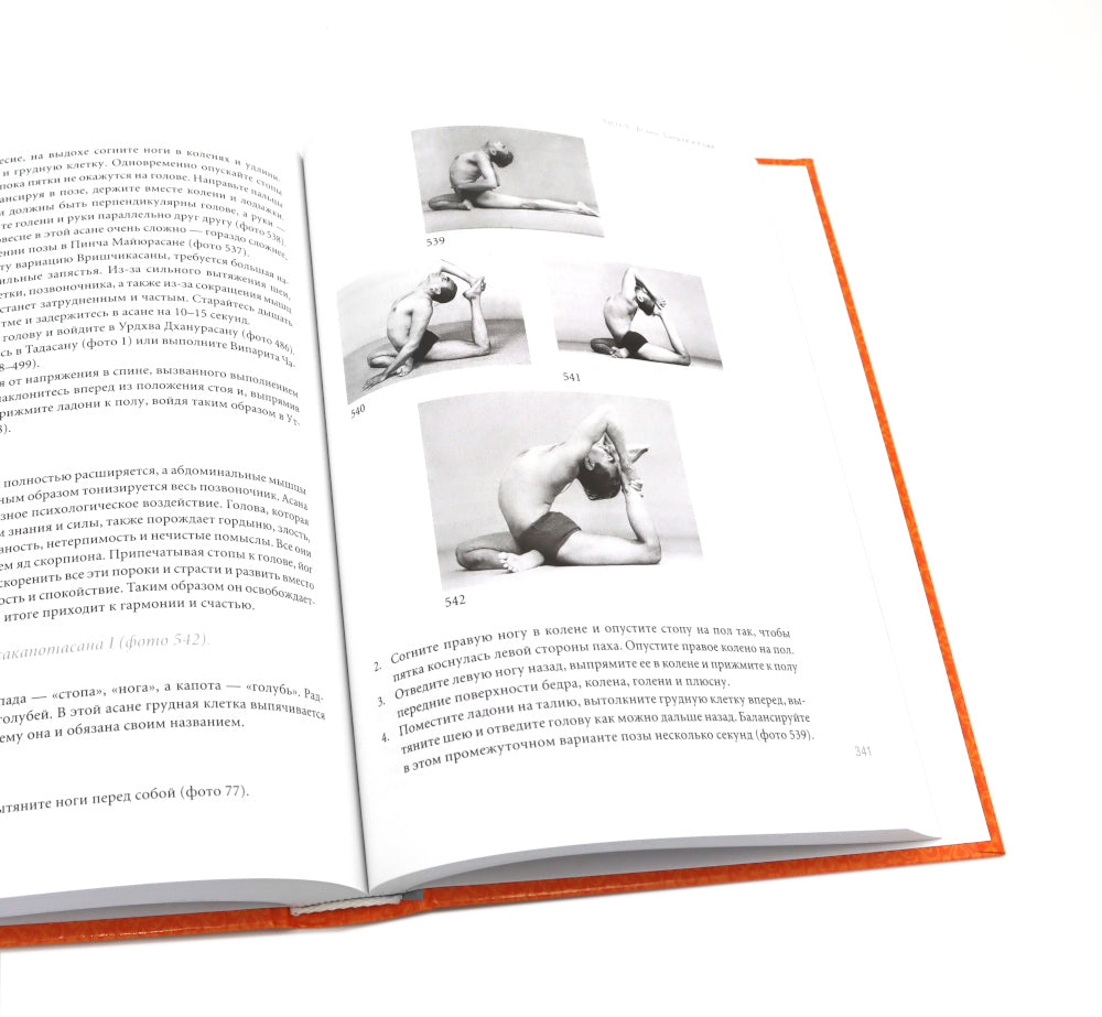 Йога Дипика: прояснение йоги; Свет жизни: йога. Путешествие к цельности, внутреннему спокойствию и наивысшей свободе (комплект из 2-х книг)