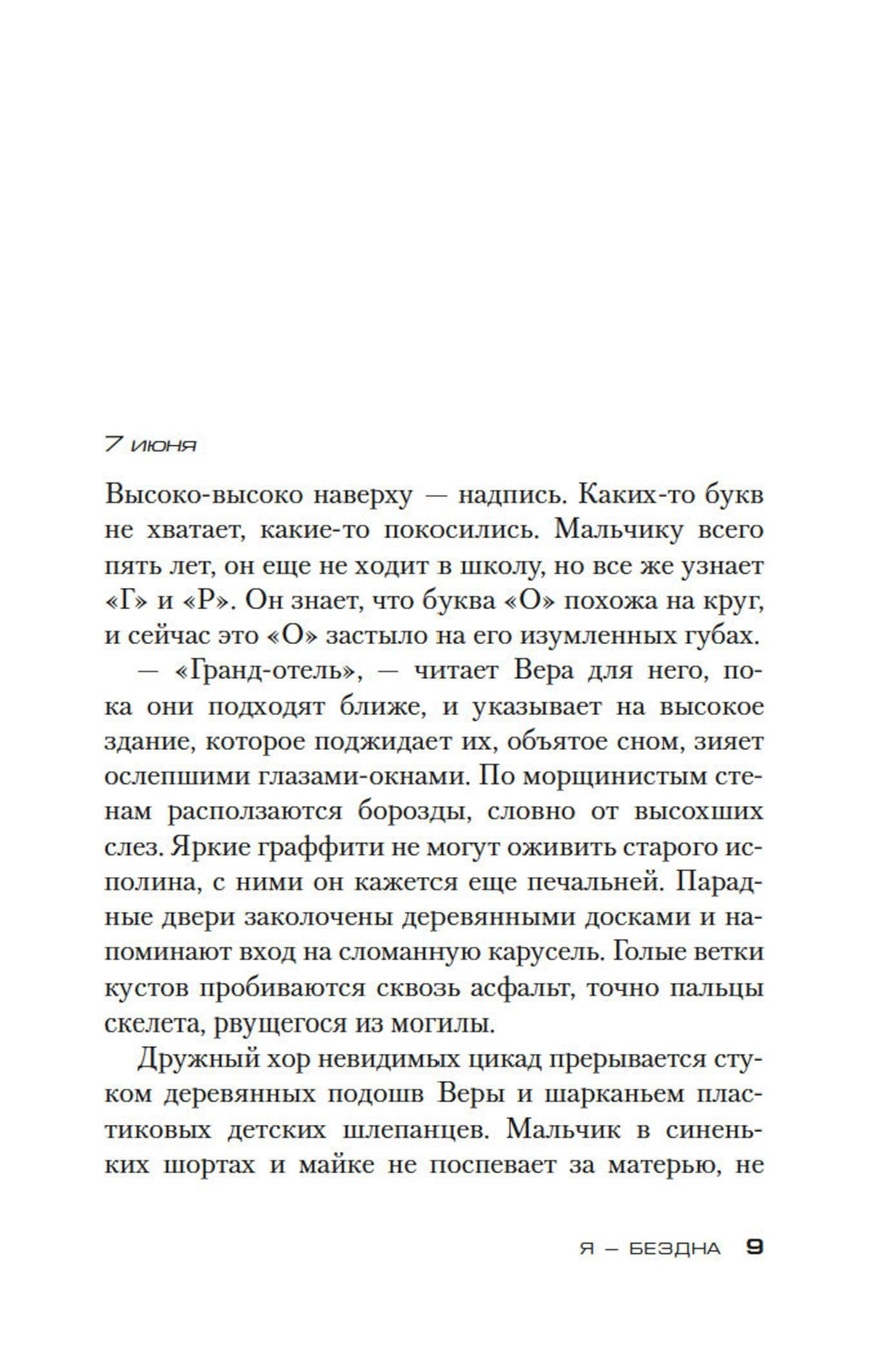 Я - бездна: роман (обл.)