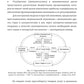 Современный риск-менеджмент и возможности страхования. Страхование в управлении рисками экономических агентов: учебное пособие