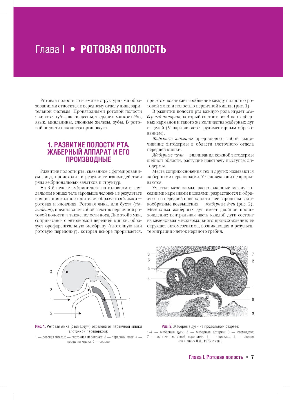 Гистология органов полости рта: учебное пособие (atlas)