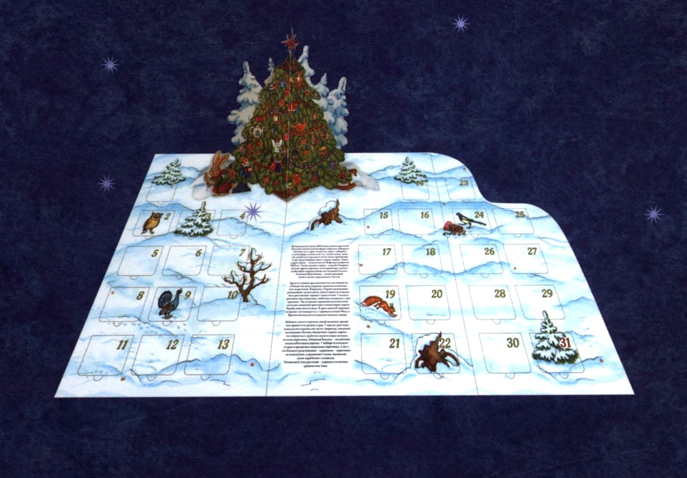 Адвент-календарь. Новогодняя ботаника: прогулка по зимнему лесу