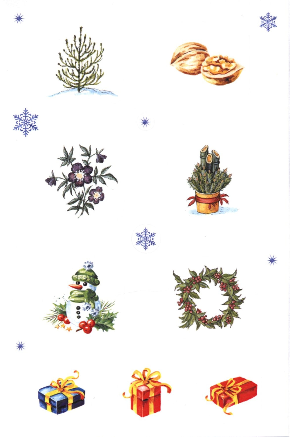 Адвент-календарь. Новогодняя ботаника: прогулка по зимнему лесу