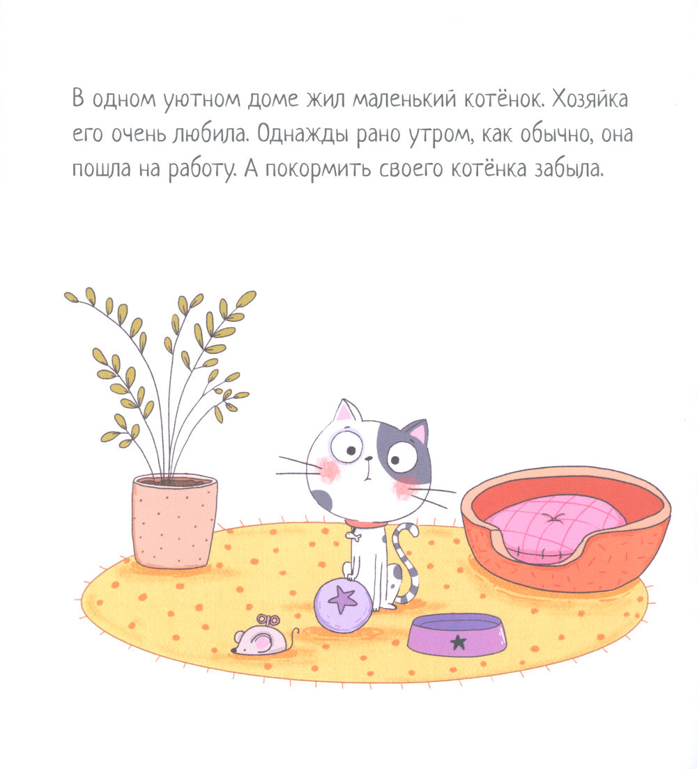 Котенок, который проголодался