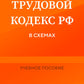 Трудовой кодекс РФ в схемах. Учебное пособие