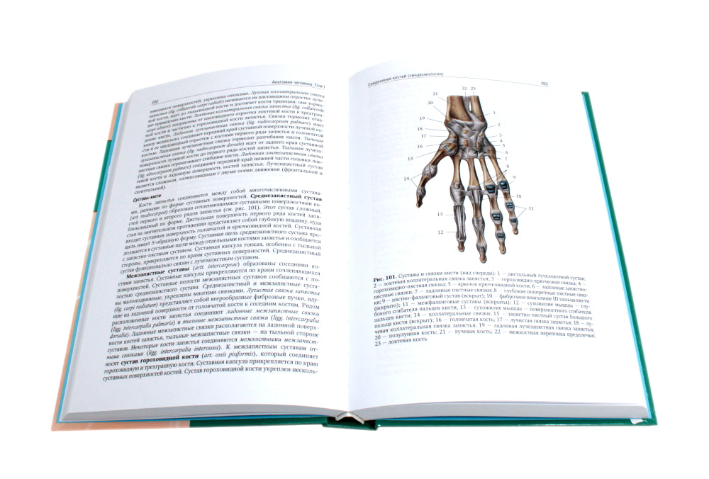 Анатомия человека: Учебник. В 2 т. (комплект из 2-х книг))