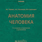 Анатомия человека: Учебник. 14-е изд., испр. и доп