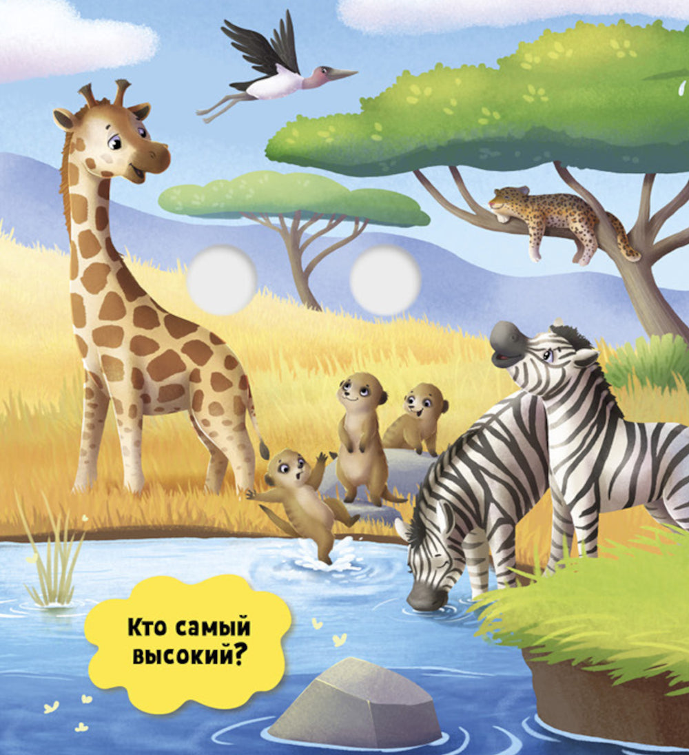 Первые эмоции