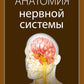 Анатомия нервной системы: учебное пособие