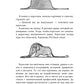 Маленький принц: сказка-притча; романы