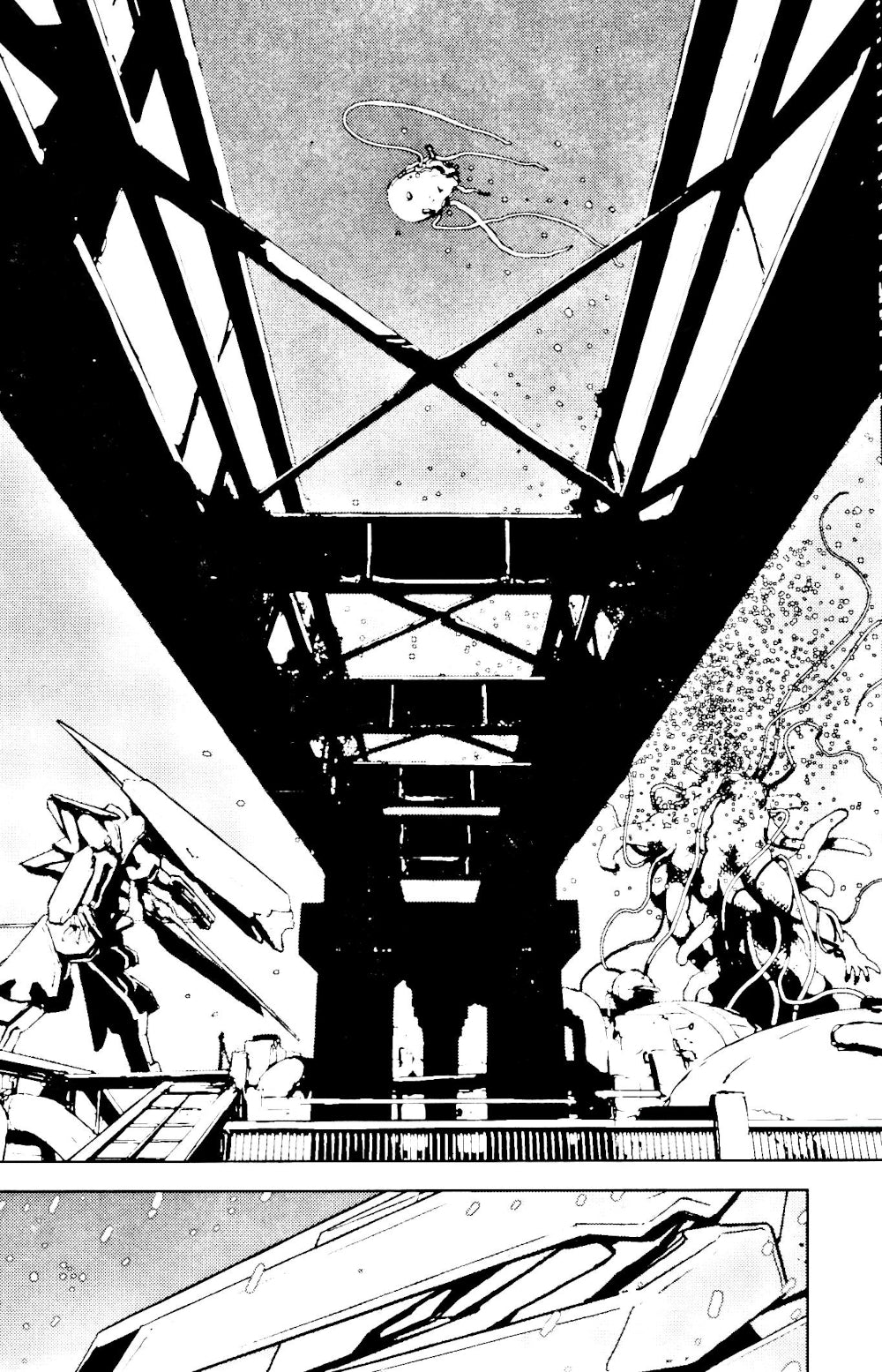 Рыцари Сидонии. Т. 1