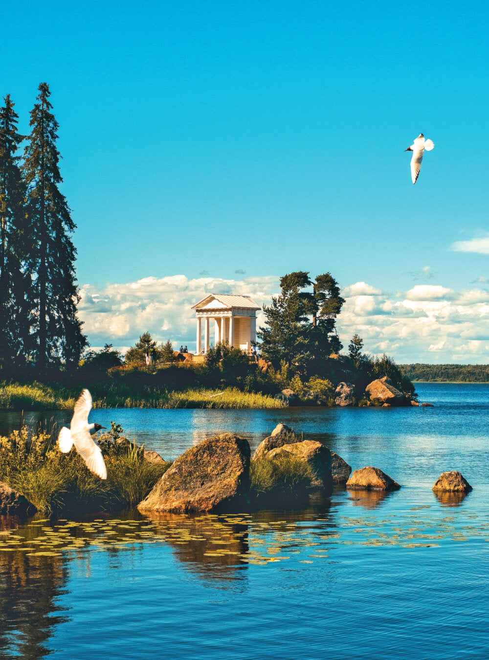 Парки и сады Петербурга. Самые красивые места для отдыха