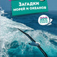 Загадки морей и океанов