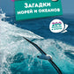Загадки морей и океанов