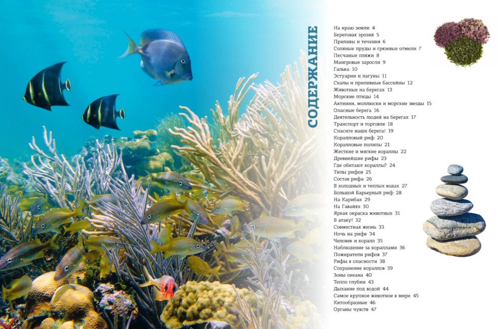 Загадки морей и океанов