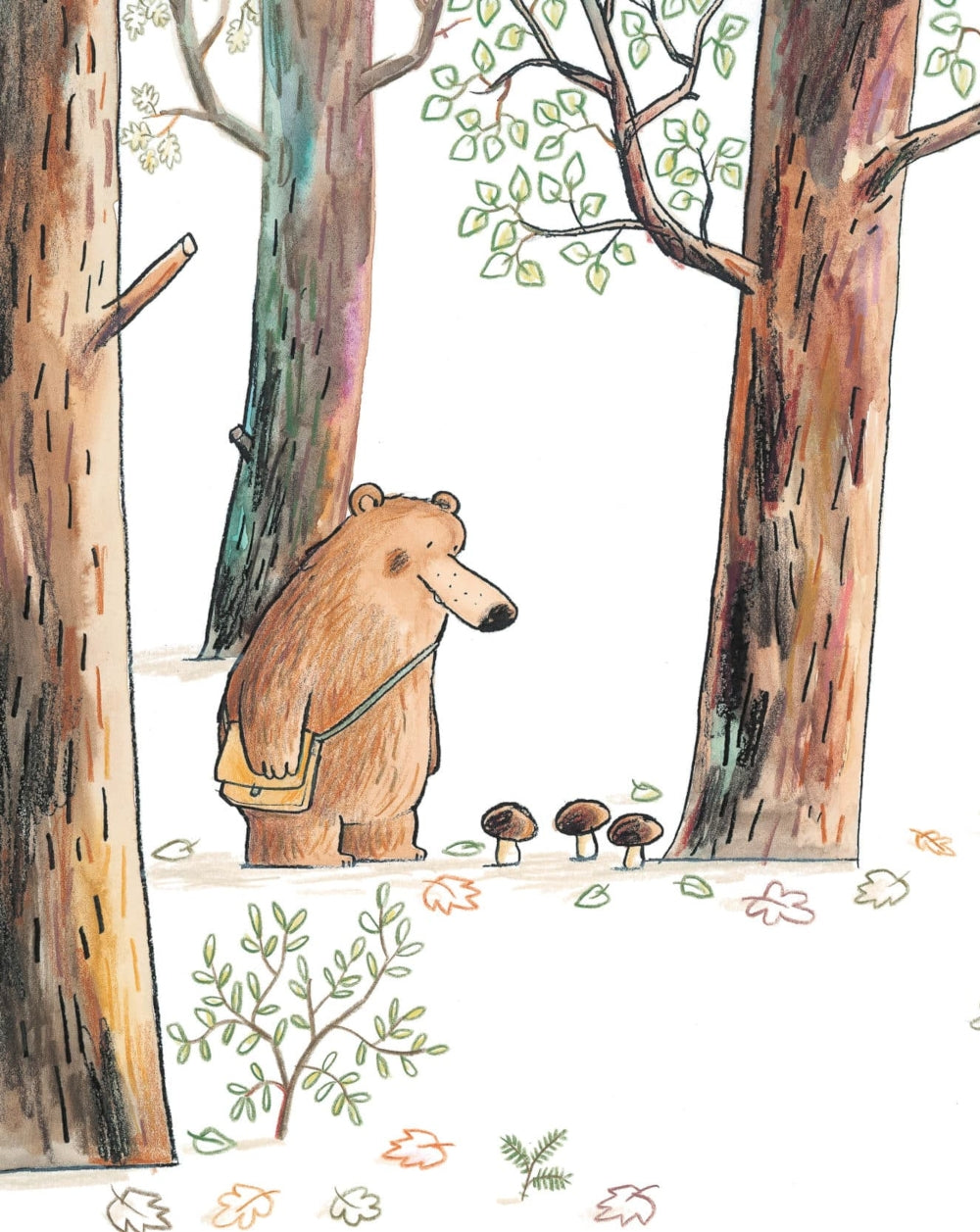 Два мне, один тебе: книжка-картинка