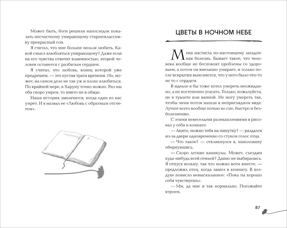 За год до смерти я встретил тебя: роман