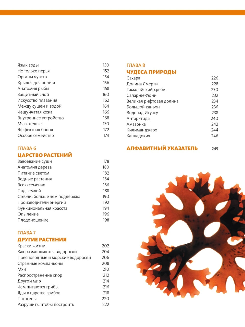 C'est notre planète. Большая иллюстрированная энциклопедия