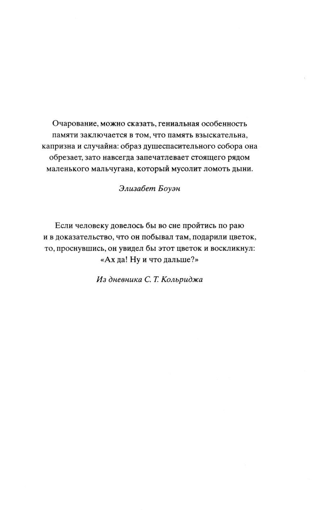 Лети, светлячок: роман