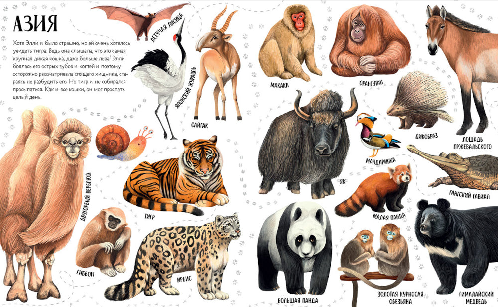 Prises en charge d'Elli dans le monde