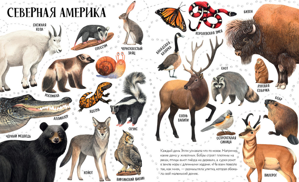 Prises en charge d'Elli dans le monde