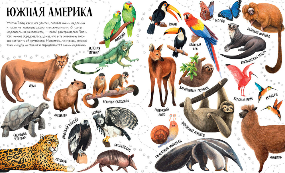 Prises en charge d'Elli dans le monde