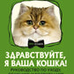 Здравствуйте, я ваша кошка! Руководство по уходу, общению и воспитанию
