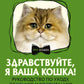 Здравствуйте, я ваша кошка! Руководство по уходу, общению и воспитанию