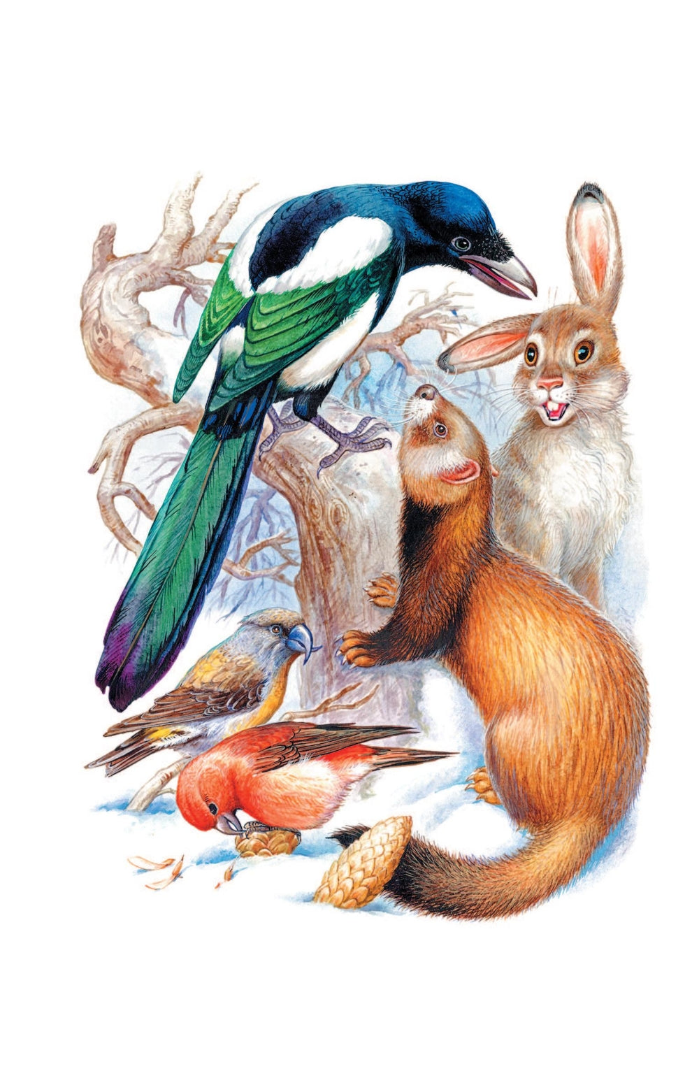 Сказки о животных