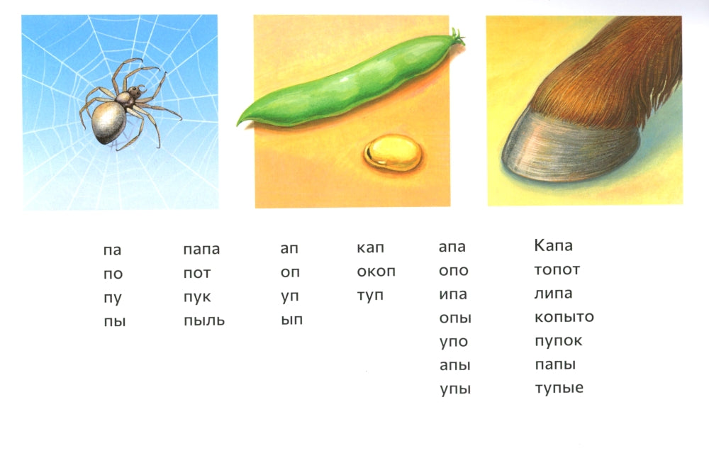 Альбом для исследования фонетической и фонематической сторон речи дошкольника