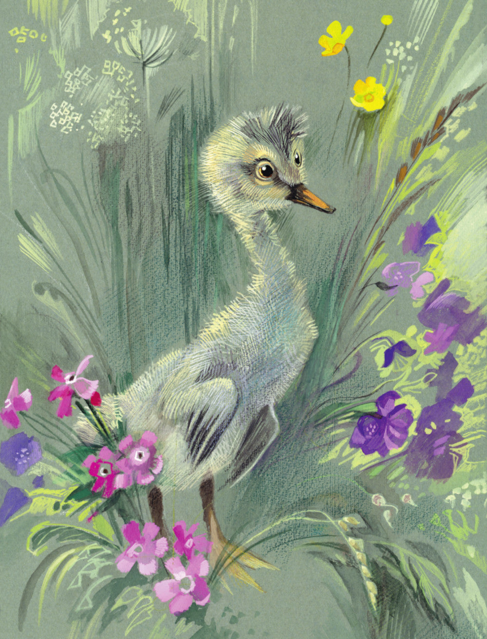 Дюймовочка. Сказки