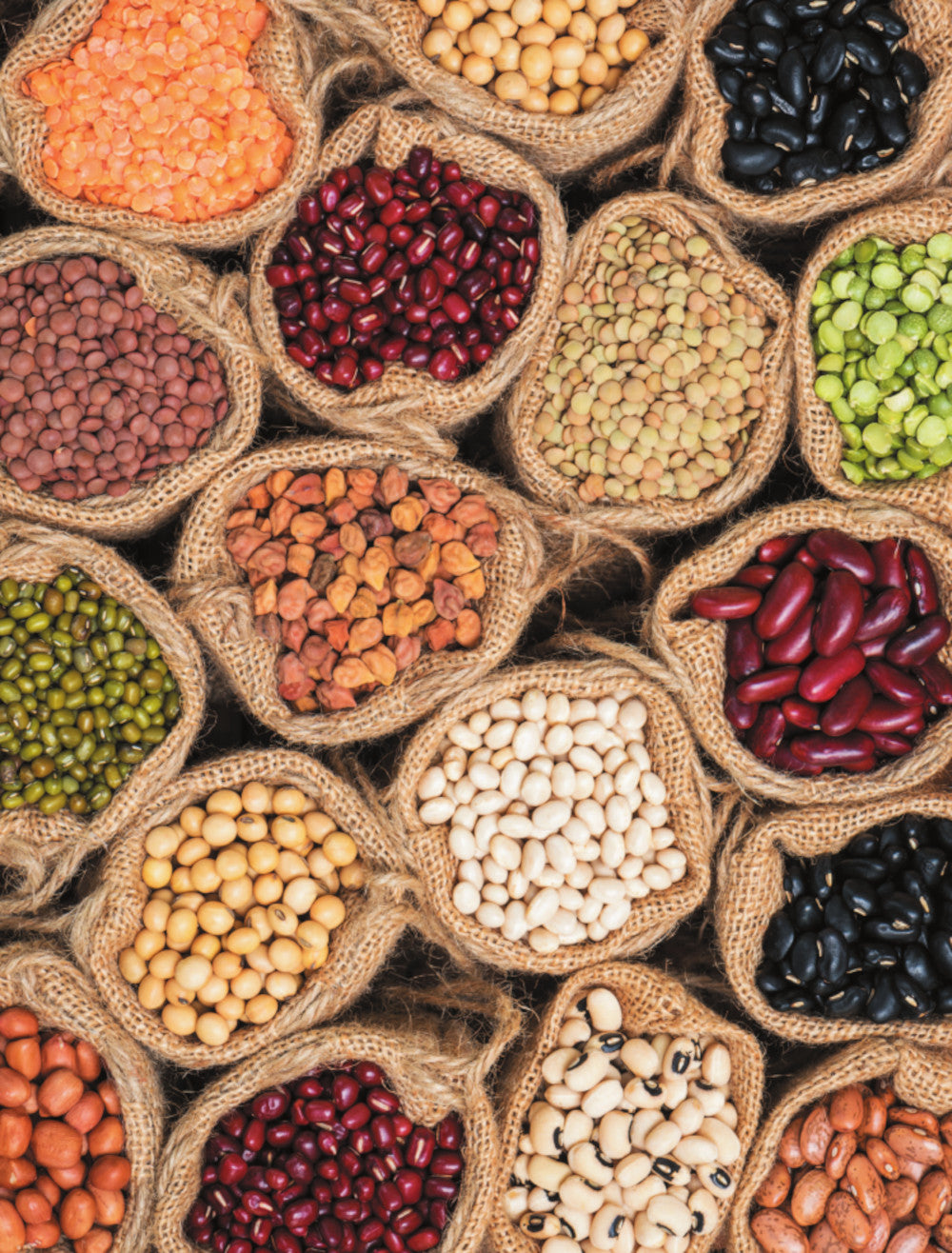 Семена и зерна. Иллюстрированный атлас. Удивительные факты об сельскохозяйственных культурах и их влиянии на развитие человечества