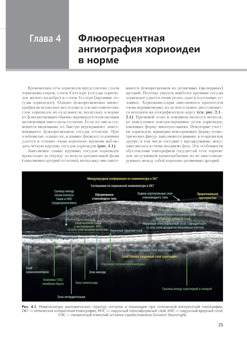 Флюоресцентная ангиография заднего полюса и периферии сетчатки: практическое руководство